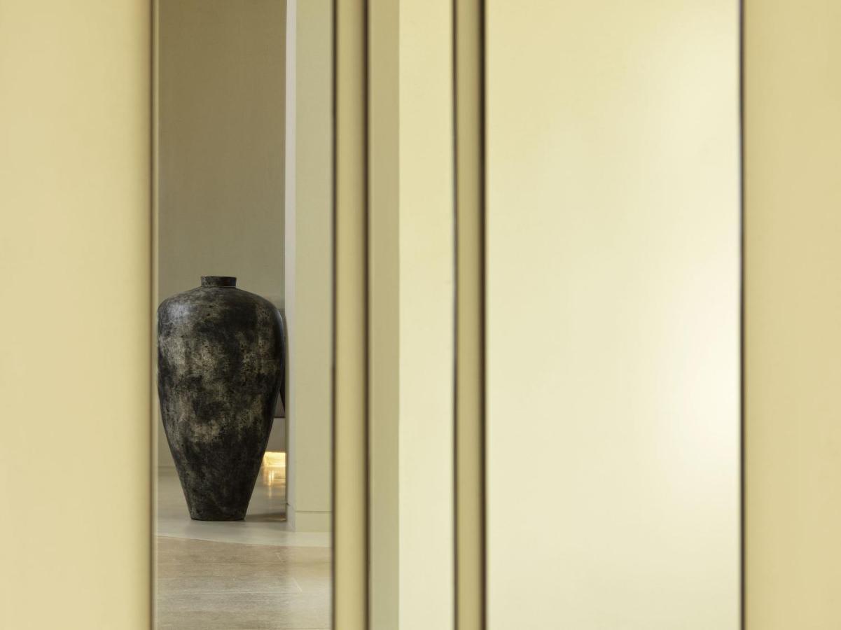 Aegon Mykonos, Autograph Collection Hotel Kalo Livadi Luaran gambar